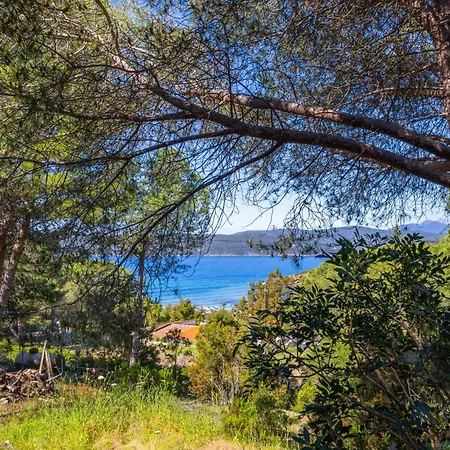 Lido Kamp alanı *